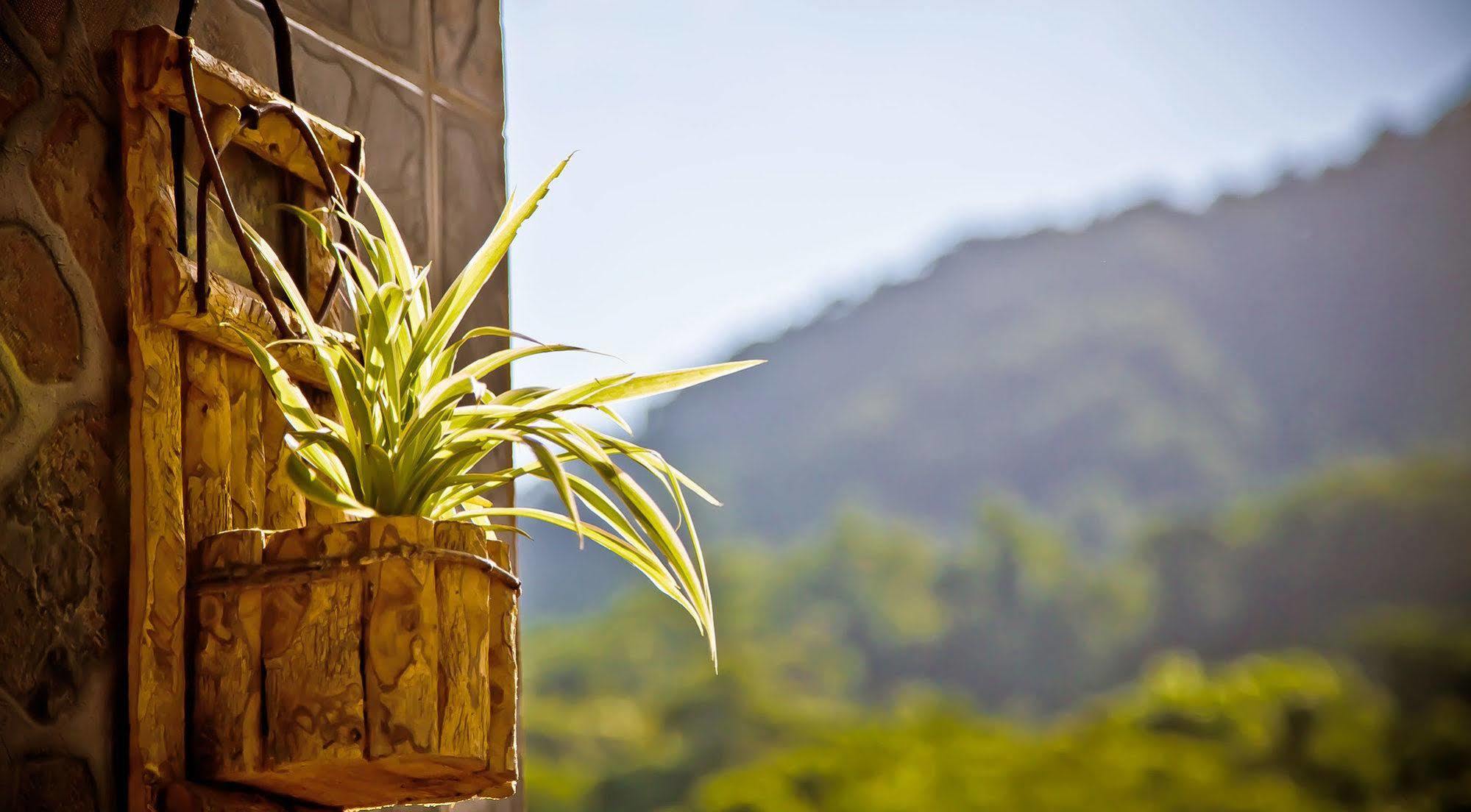 Pousada Pataxó Ubatuba Exterior foto